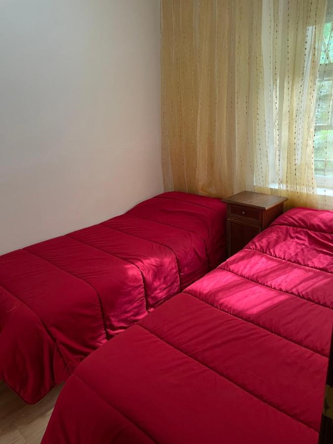 Hostal El Nuevo Salau كوذِييرو المظهر الخارجي الصورة